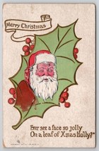 Christmas Jolly Face Santa Leaf 1907 Martinsburg To Hagerstown MD Postcard K27 - $11.95