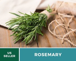 50 Rosemary Seeds Rosmarinus officinalis Herb Culinary Fragrant and Aromatic - £12.55 GBP