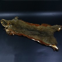 2optional colors Pine Tree squirrel whole skins fly tying hairs&amp; s tanned or dee - £54.81 GBP