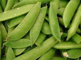 AW 50 Mammoth Melting Sugar Pea Stringless Snow Pea Pisum Sativum Seeds ... - $10.97
