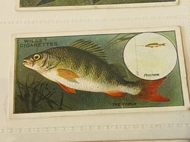 WD HO Wills Cigarettes Tobacco Trading Card 1910 Fish Bait Lure Perch #9... - $19.69