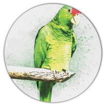 Parrot Watercolor : Gift Coaster Bird Nature Artistic Art Animal Cute - £3.94 GBP