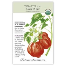 Organic Oxheart Pole Tomato Seeds 25 Seeds Garden Fresh USA Shipping - $14.98