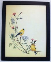 Audubon Finch Wildlife Bird Nature Print 11 X 14 Wall Decor Black Frame - £25.94 GBP