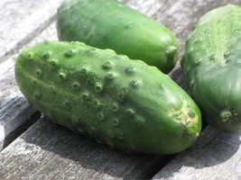HeirloomSupplySuccess 25 Heirloom National Pickling Cucumber - £1.56 GBP