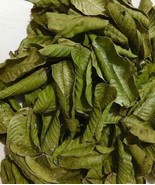 100g - Premium Dried Guava Leaves Hojas De Guayaba Leaf - £10.89 GBP