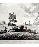 Whaling Lancing After Harpooning 1926 Nautical Antique Print Whale Hunti... - $474.98 MXN