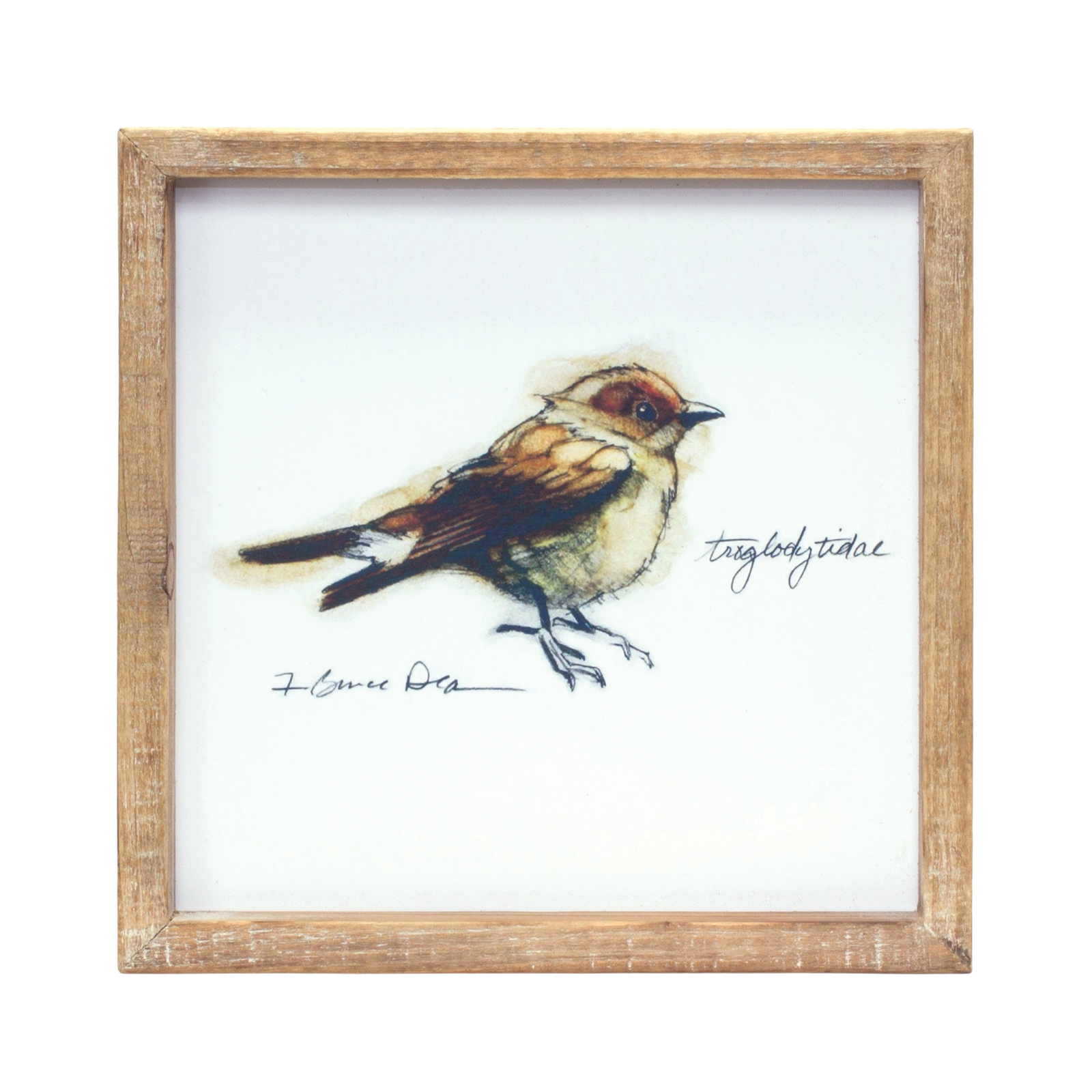 Wood Framed Bird Art Print (Set of 4) Item image 3
