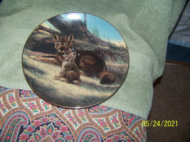 vintage 80&#39;s collectors plate  nature {the red wolf} - £8.70 GBP