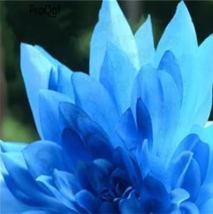 B636bc8b7e3463e0 thumb200