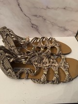 Steve Madden Snake Skin Shoes 8.5 - $21.93 CAD