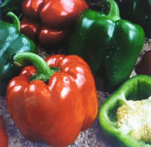 Sweet Giant Pepper - Keystone 25 Seeds - $6.78