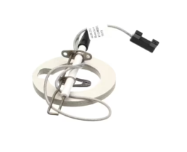 Rational 876100201 Ignition Electrode Kit for Steam Generator Genuine OE... - $187.79