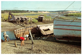 Fishing Boats Cape Cod National Seashore Massachusetts Postcard Posted 1974 - $20.01