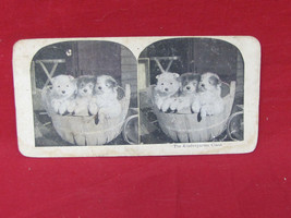 Vintage Antique 1800&#39;s Stereo Card - &quot;The Kindergarden Class&quot; #13 - £12.06 GBP