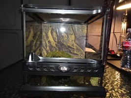 Exo Terra Glass Terrarium 8&quot; x 8&quot; – Front Opening – Screen Top – With Ba... - $824.91 MXN