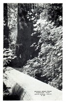 B-54 Bridge Hewn Muir Woods National Monument California RPPC Postcard - £11.55 GBP