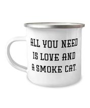 Funny Smoke Cat 12oz Camper Mug, All You Need is Love and a Smoke Cat, F... - £12.54 GBP
