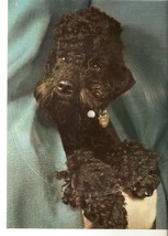 Old Musical 45rpm Record Postcard Hula-Baby Knox Brad Schallbildkarte Dog Poodle - £23.49 GBP