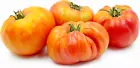 HILLBILLY TOMATO SEEDS ~ heirloomseedguy ~ NON-GMO 30  Seeds - £5.55 GBP