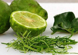 Thai Kaffir Lime Seed, Grow your own, CITRUS HYSTRIX, organic and fragra... - $3.85