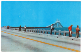 Vtg Postcard-Sunshine State Skyway Bridge-St. Petersburg FL-Fishing-Chrome-FL2 - £11.21 GBP