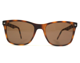 Success Sonnenbrille Sun 6 Matt Tort Schildkröte Quadrat Rahmen Braune L... - £22.45 GBP