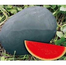 Sweet Giant Black Skin Watermelon Seeds Seedless Watermelon Seeds Seeds Planting - $10.87