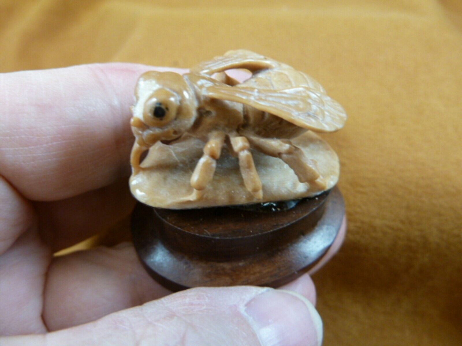 (tb-ins-1-3) tan House Fly Tagua NUT figurine Bali detailed insect carvi... - $43.47