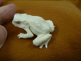 FROG-W23) little Frog shed ANTLER figurine Bali detailed amphibian love ... - £37.77 GBP