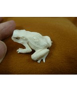 FROG-W23) little Frog shed ANTLER figurine Bali detailed amphibian love ... - £36.61 GBP