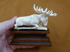 moose-23 white Moose Elk bull running shed ANTLER figurine Bali detailed... - £61.24 GBP