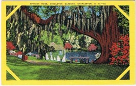 Postcard Charleston South Carolina Middleton Gardens Spanish Moss - £3.04 GBP