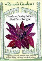 GIB Lettuce Red Deer Tongue Heirloom Vegetable Seeds Renee's Garden  - $9.00