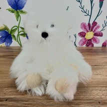 10&quot; Bear, Its All Greek To Me Plush by Taylor, off-white Stuffe - £7.61 GBP