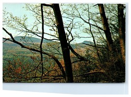 Catskill Mountains New York Unused Postcard - £5.89 GBP