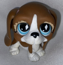 little pet shop lps basset hound 502 Dog Blue Eyes Brown And White Dog Cute 2007 - £11.06 GBP