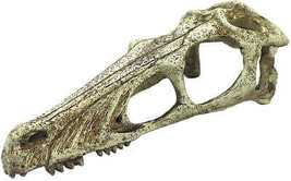 Komodo Realistic Raptor Skull Resin Terrarium Decoration - £20.40 GBP