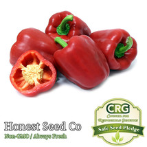Sweet Red Bell Pepper Seeds  Heirloom Fresh Garden - $9.00