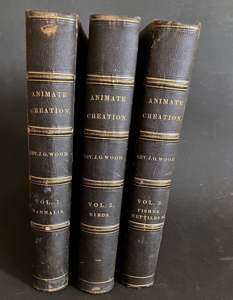 1885 ANIMATE CREATION Complete 3 Vol. JG Wood - Mammalia Birds Fishes &amp; ... - $535.00