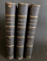 1885 ANIMATE CREATION Complete 3 Vol. JG Wood - Mammalia Birds Fishes &amp; ... - $733.76 CAD