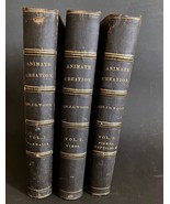 1885 ANIMATE CREATION Complete 3 Vol. JG Wood - Mammalia Birds Fishes &amp; ... - €461,44 EUR