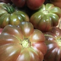 Purple Calabash Tomato Seeds Gardening USA SELLER - £3.40 GBP