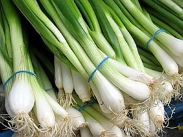 Onion Tokyo Long White Seeds 200+ Bunching Scallion Vegetable  From US - £5.67 GBP