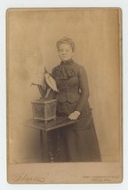 Antique Circa 1880s Cabinet Card Beautiful Woman With Plant Philadelphia, PA - £14.51 GBP