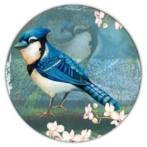 Blue Jay : Gift Coaster Bird Lover Cute Decor Birdism Bird Watcher - £4.01 GBP