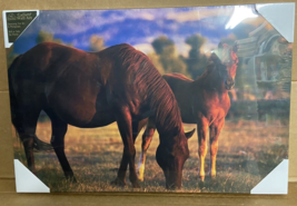 Denver Bryan Mare and Foal Canvas Print By Big Sky Carvers Demdaco Art - £18.61 GBP