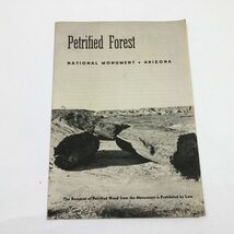 1957 Petrified Forest National Monument Arizona Brochure With Automobile... - $10.88