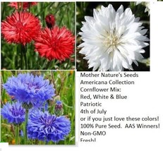 450 Seeds Cornflower Bachelor Button Red White &amp; Blue Mix July - $8.00