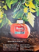 Hunt&#39;s Tomato Catsup Big Fat Tomato Bottle Leaves Outdoors-1963 Vintage ... - $12.68